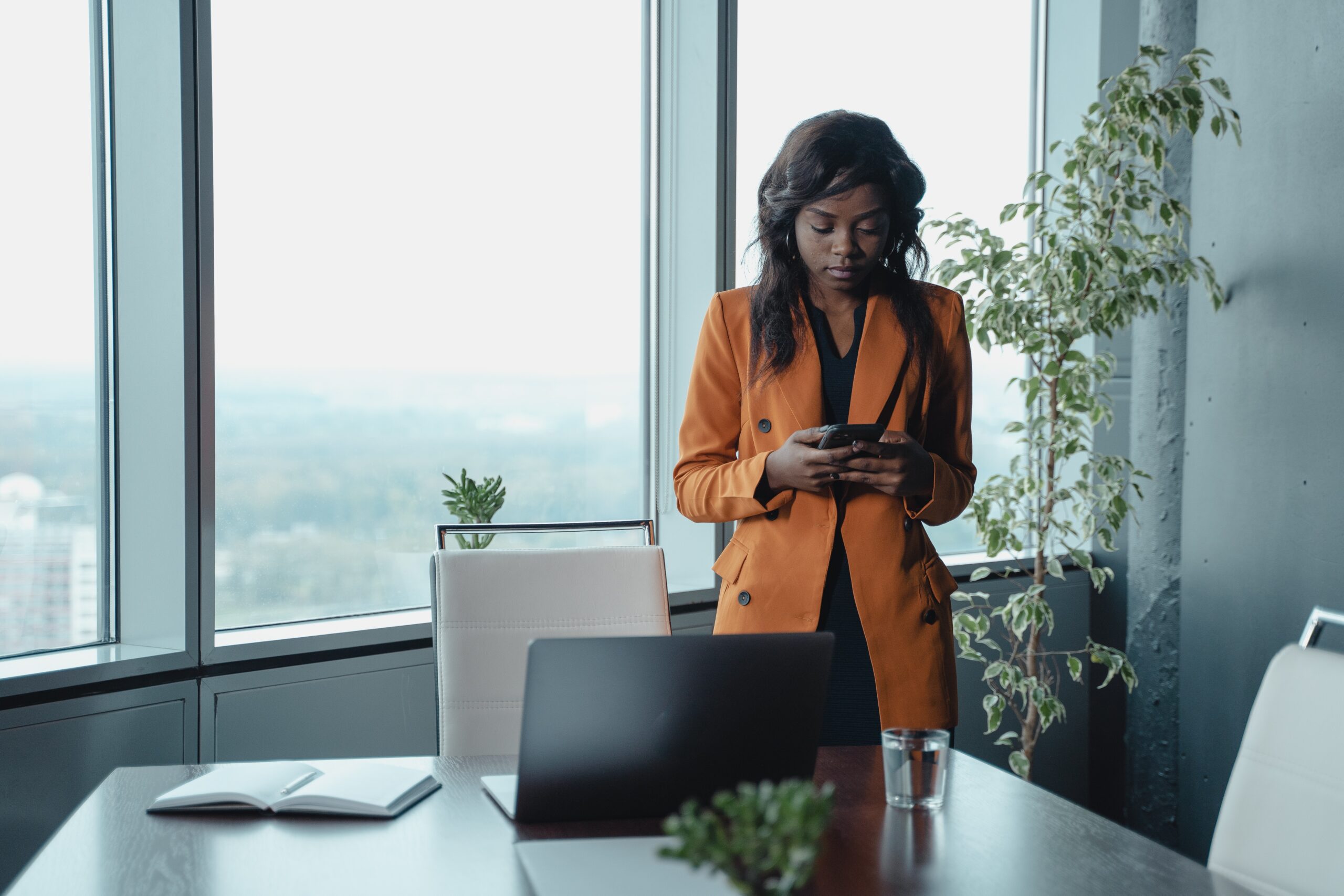 Directeur (trice) Commercial(e)